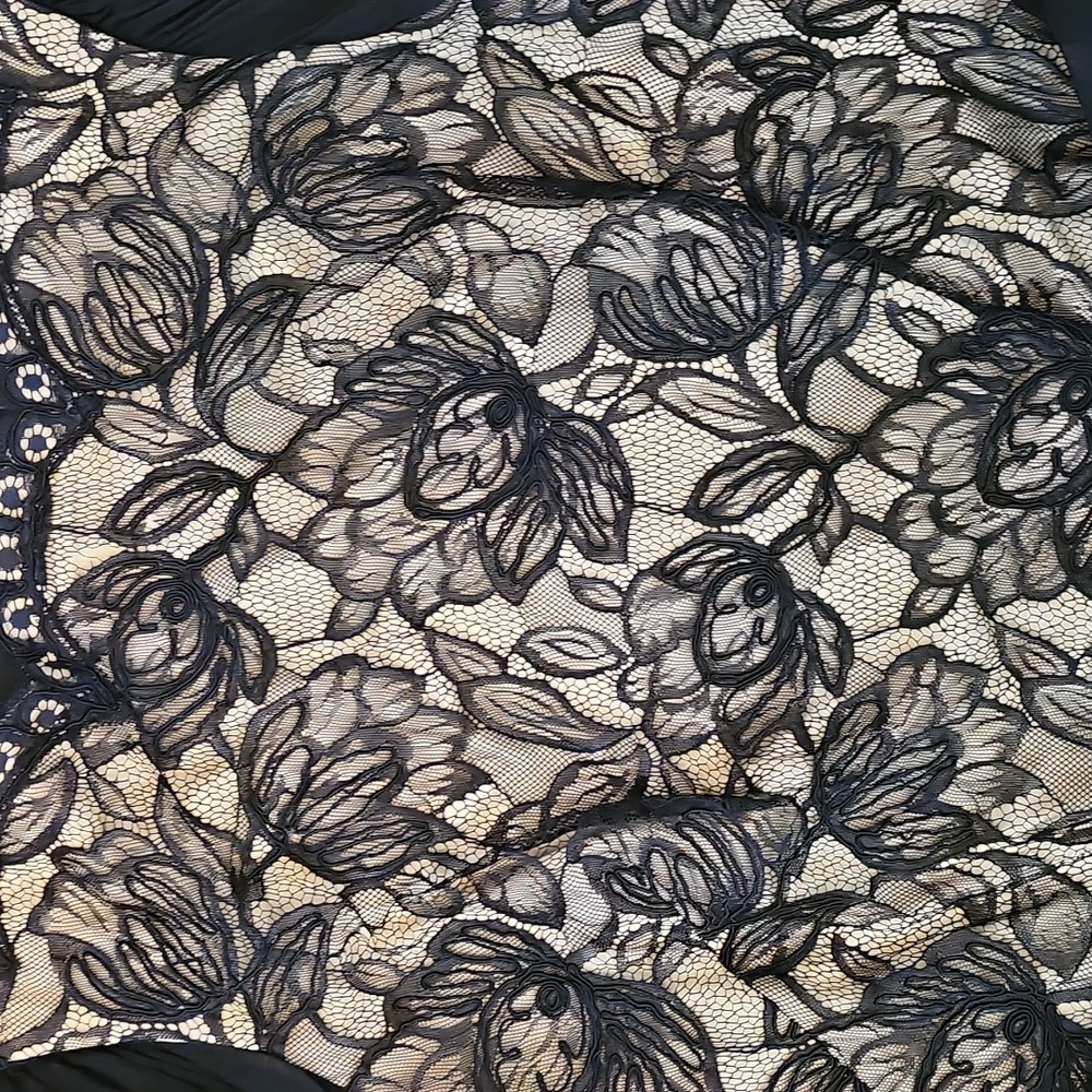 Tadashi Shoji Sheer Sleeve Lace Cocktail Dress - Picture 6 of 15